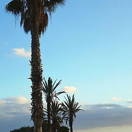 Hermoso Apartamento Amarilla Golf. Offer! * Σαν Μιγκέλ ντε Αμπόνα